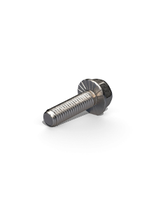 Hexag. Flange bolt M8x35 with serration